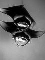   Mantas Hanifaru.Converted BW water colour very green Hanifaru. Hanifaru  